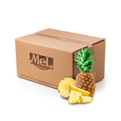 Caja de 10 unidades de 1kg de Mermelada Premium de Piña Mel Alimentos