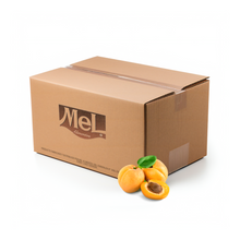 Caja 10 unidades 1kg Mermelada Damasco Molido Mel Alimentos