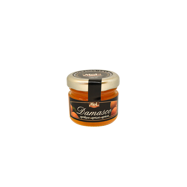 Frasco 25gr Mermelada de Damasco Mel Alimentos