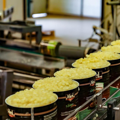 Producción de manznaa filling, subitos de manzana natural para relleno de tortas y kchenes